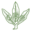 KGU logo