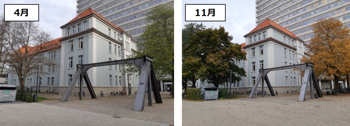 建物周辺の木々の変化